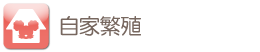 自家繁殖
